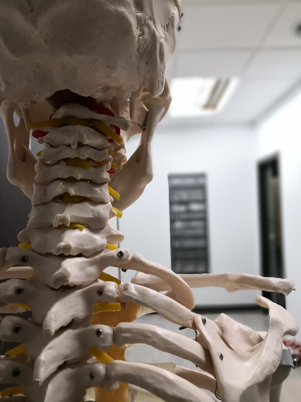 Pilates Madrid: Guía de los Mejores Centros y Estudios