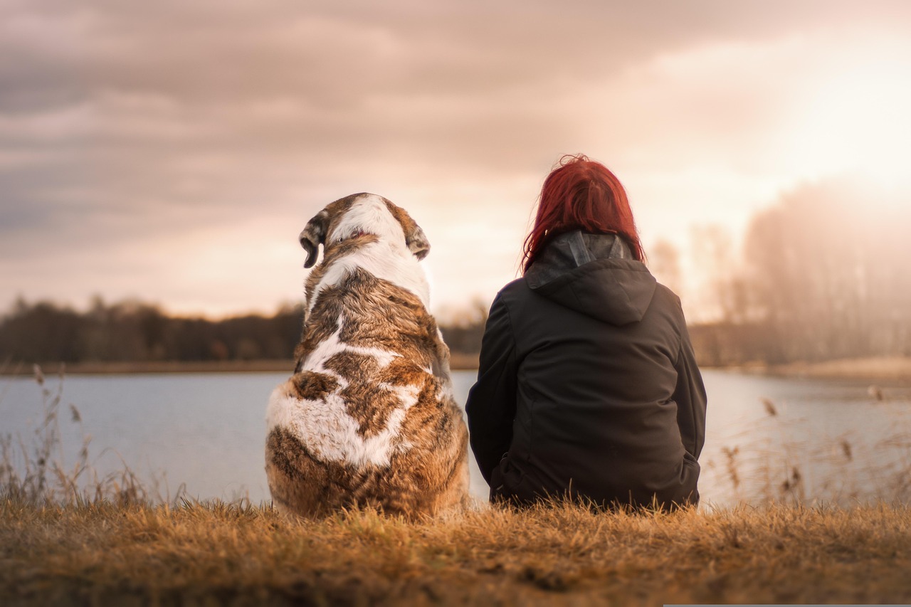 Los Mejores Bares Pet-Friendly de Madrid